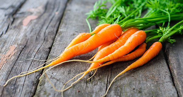 La carota: rigenerante cellulare